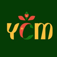Young Culture Media