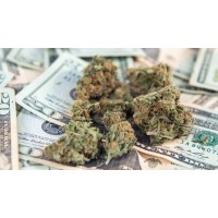 Cannabis Compliance and Risk Management