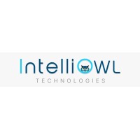 Intelli Owl Intelli Owl