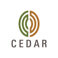 Cedar Management Consulting International