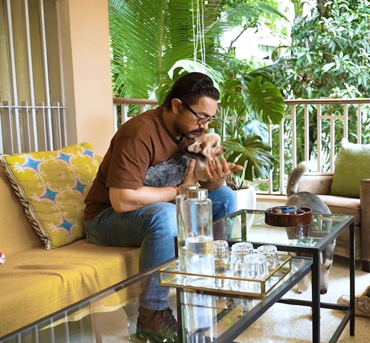Aamir Khan House in (Mumbai) Bella Vista Buildings