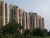 Real Estate Projects Overview in Sector 151 Noida