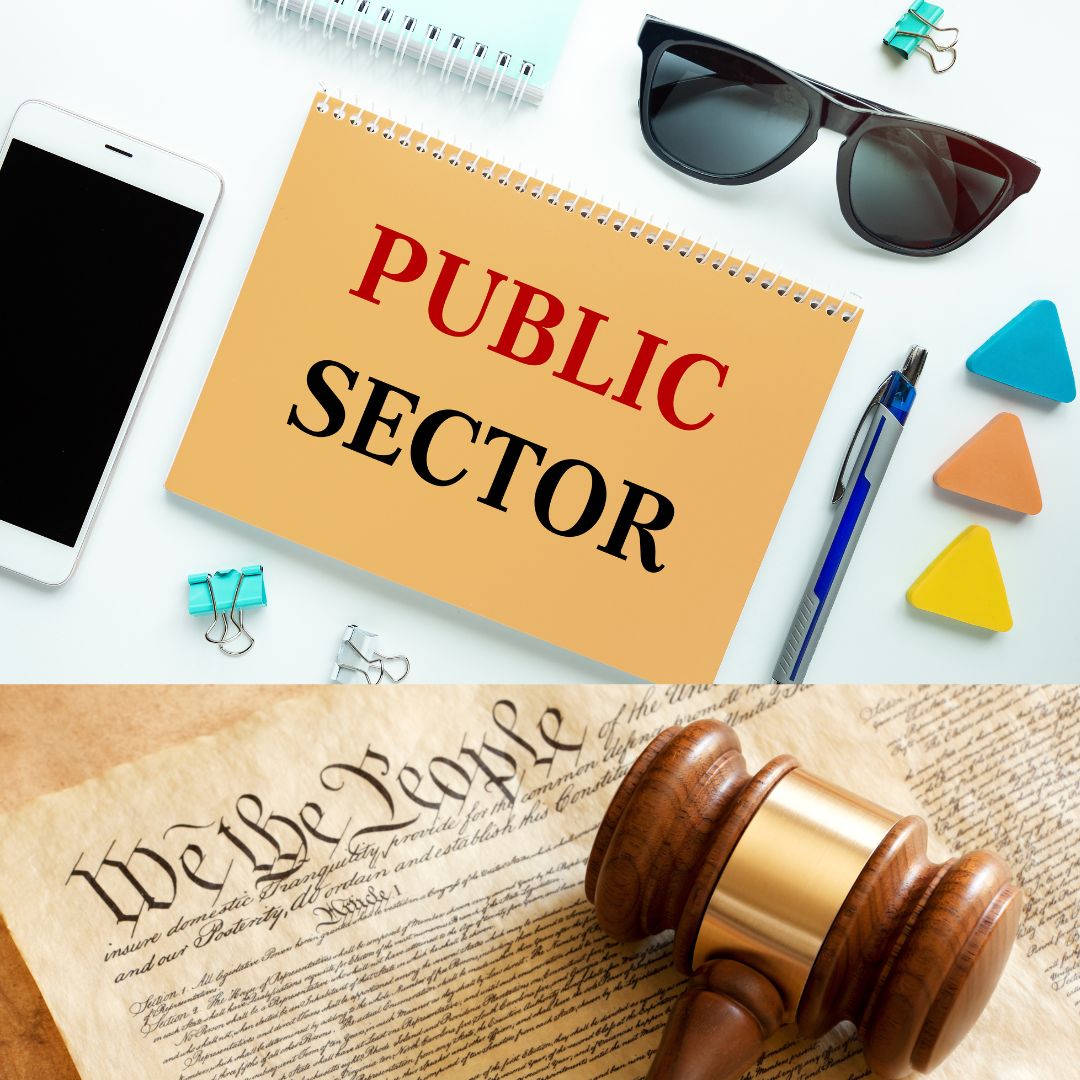 Public Sector