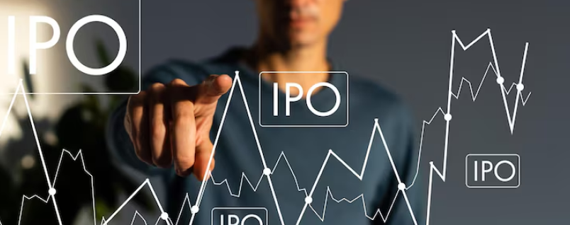 Ipo Investor