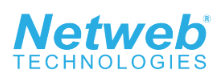 Netweb Technologies India Limited