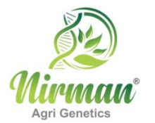 Nirman Agri Genetics Limited