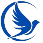 Shantidoot Infra Services Limited