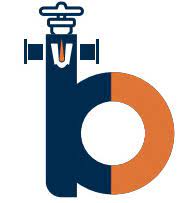 Shri Balaji Valve Components Limited