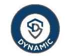 Dynamic Services & Security Limited