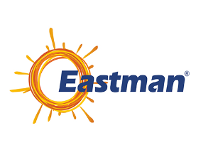Eastman Auto & Power Limited