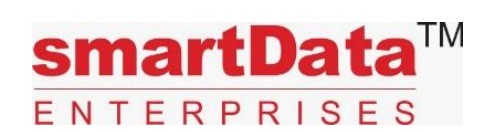 Smartdata Enterprises (India) Limited