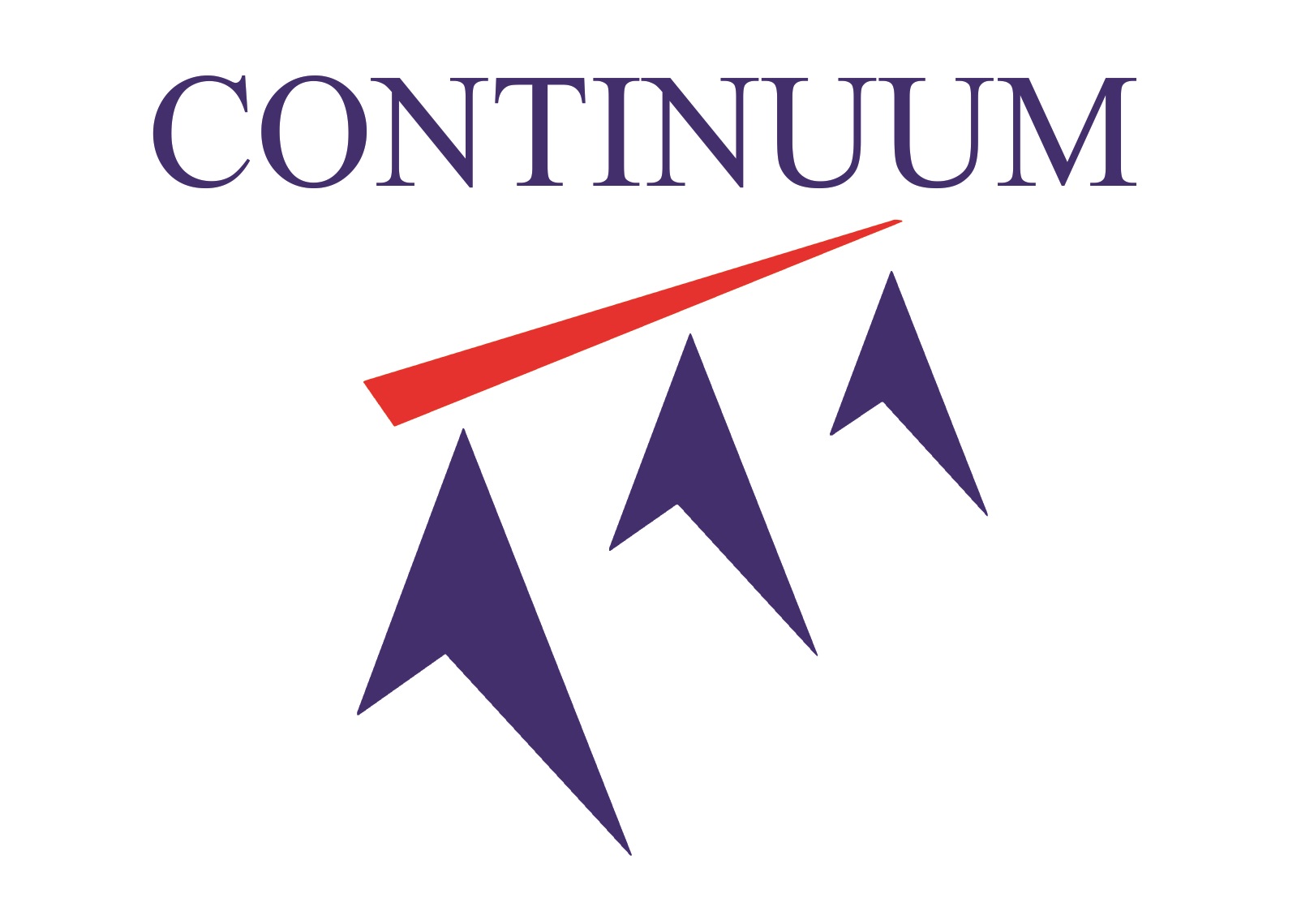 Continuum Green Energy Limited