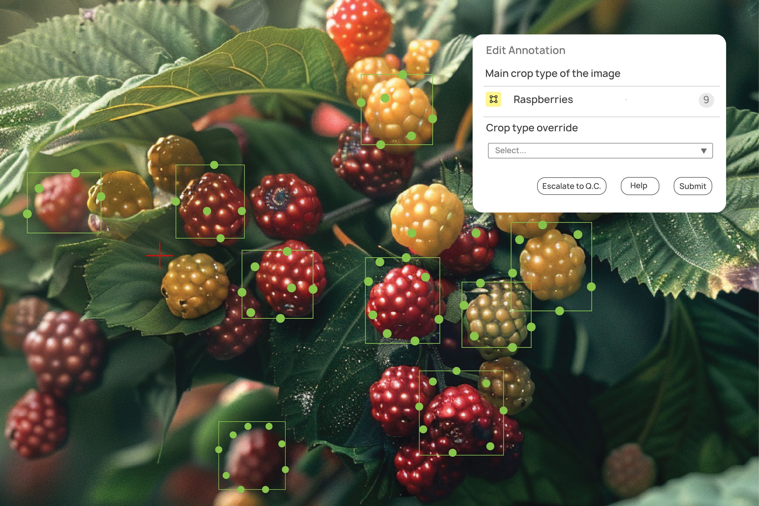 Agriculture | Taranis