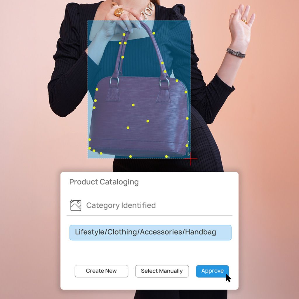 Image Annotation Services