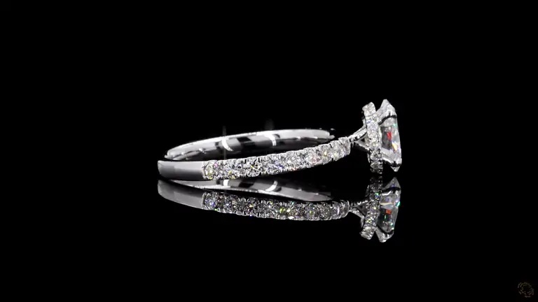 r-791173-p-p-fr-70042