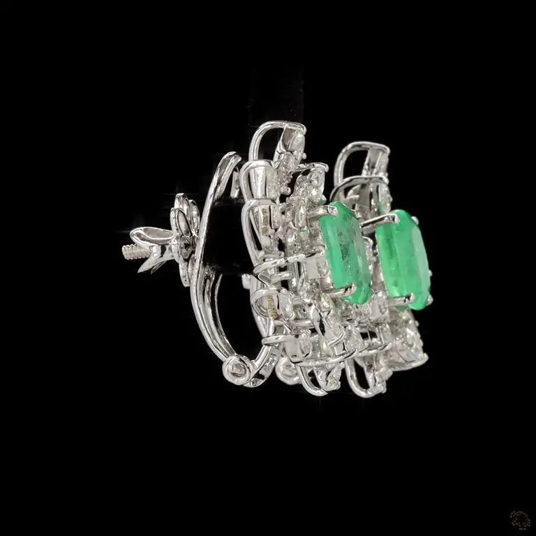 er-00437-p-h-zm-1-56574