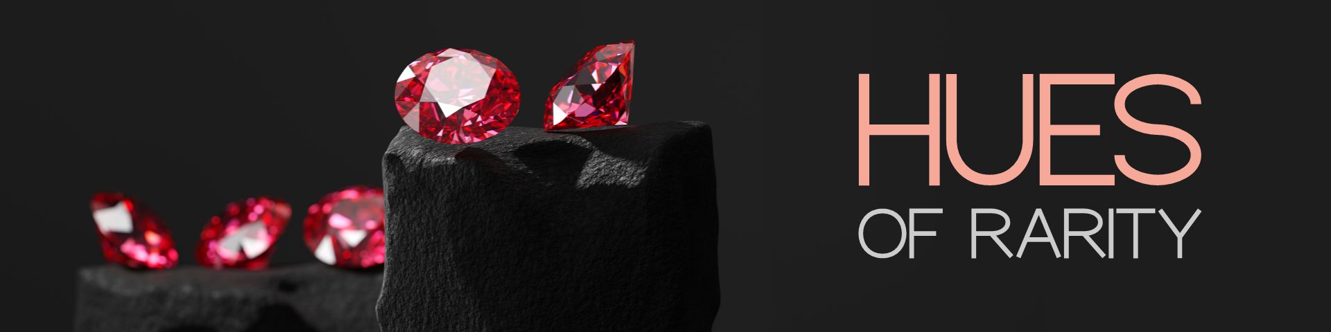 Banner media-695f6bbb00e433.58401812