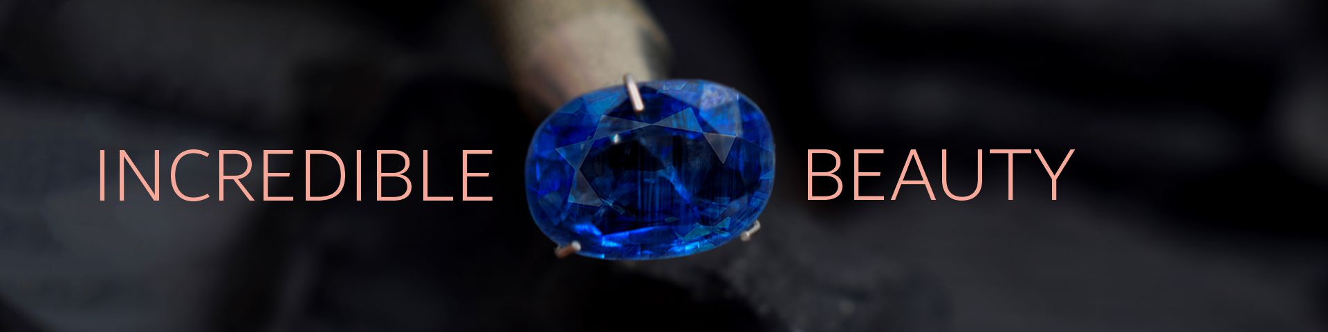 Banner media-695f6bae427646.64379740