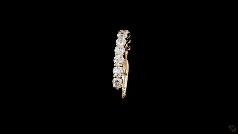 eternia-round-diamond-band-p-v-3d-12054