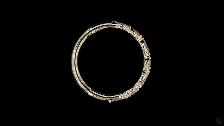 seraphine-diamond-accent-band-p-p-tp-11290