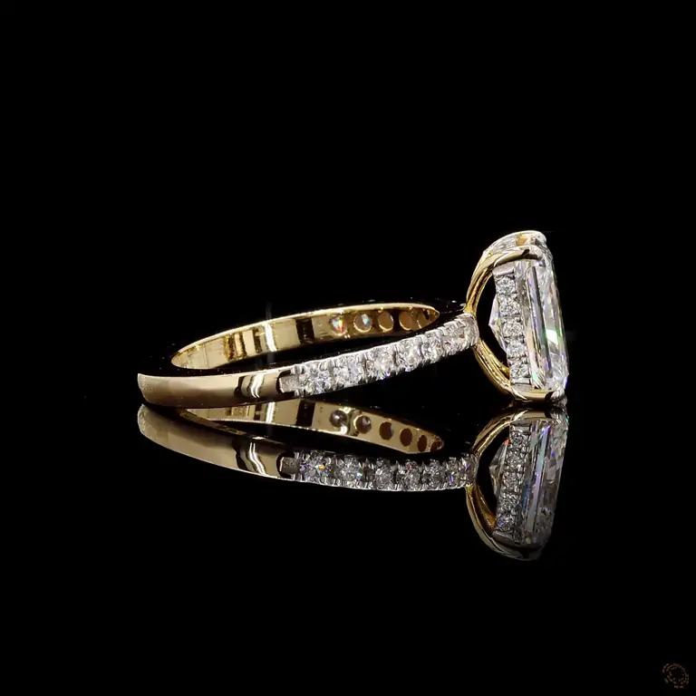 golden-reflection-p-r-r-82807