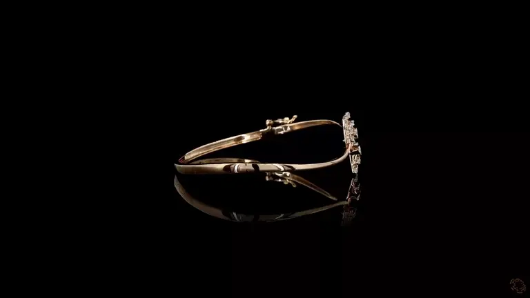 br-173656-p-p-fr-6789