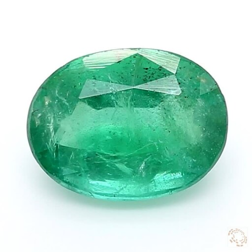 E-25800921-3-31 Preview