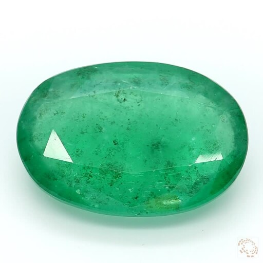 E-25800890-11-61 Preview