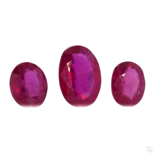 R-25006348-2-81 Preview