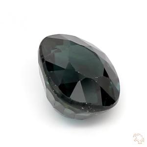 231-carat-blue-natural-sapphire-4