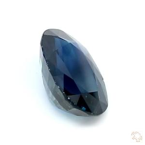 171-carat-blue-natural-sapphire-4