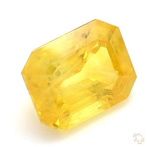 555-carat-yellow-natural-sapphire-3