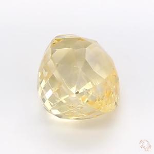576-carat-yellow-natural-sapphire-4