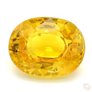 813-carat-yellow-natural-sapphire-1