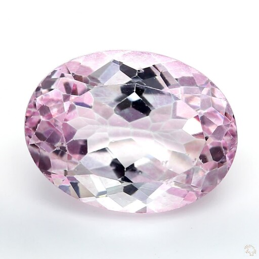 PT-25003133-22-8 Preview