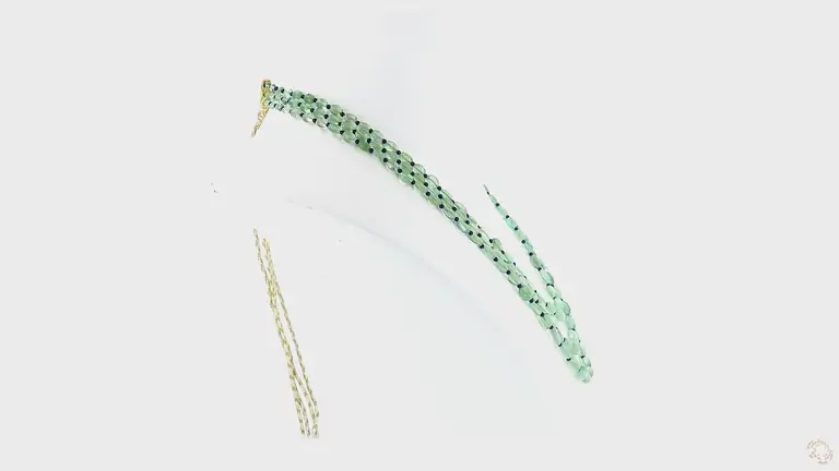 beads-13-p-n-r-54530