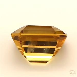 774-carat-brown-natural-other-4