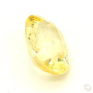 563-carat-yellow-natural-sapphire-4