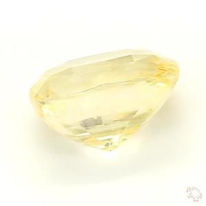 551-carat-cushion-yellow-natural-sapphire-3