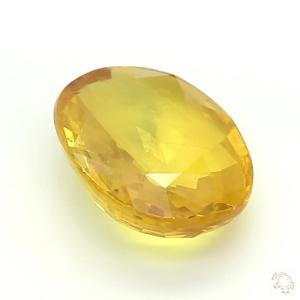488-carat-yellow-natural-sapphire-4