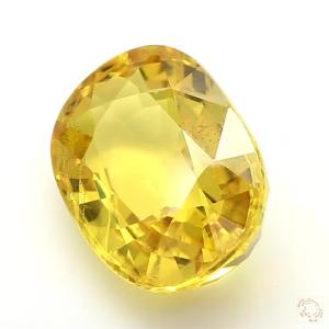 857-carat-yellow-natural-sapphire-2