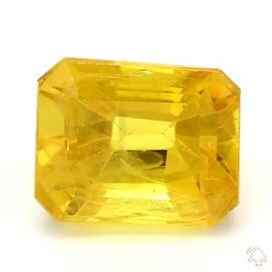 919-carat-yellow-natural-sapphire-1