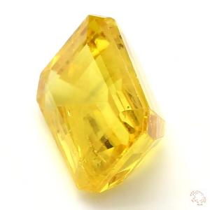 919-carat-yellow-natural-sapphire-2