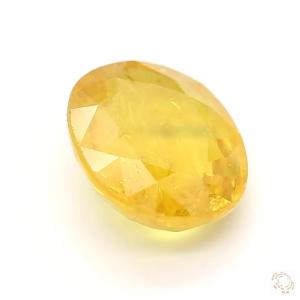 542-carat-yellow-natural-sapphire-4