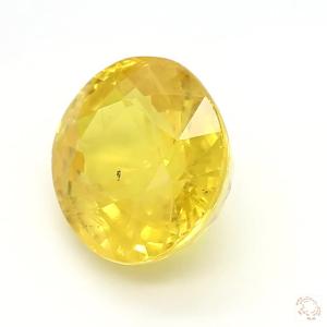 606-carat-yellow-natural-sapphire-2