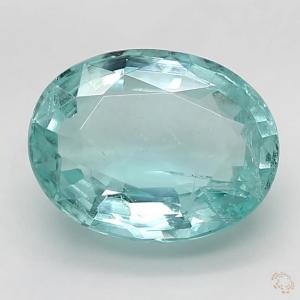 513-carat-green-natural-emerald-1