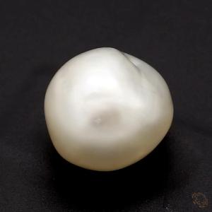 543-carat-white-natural-pearl-2
