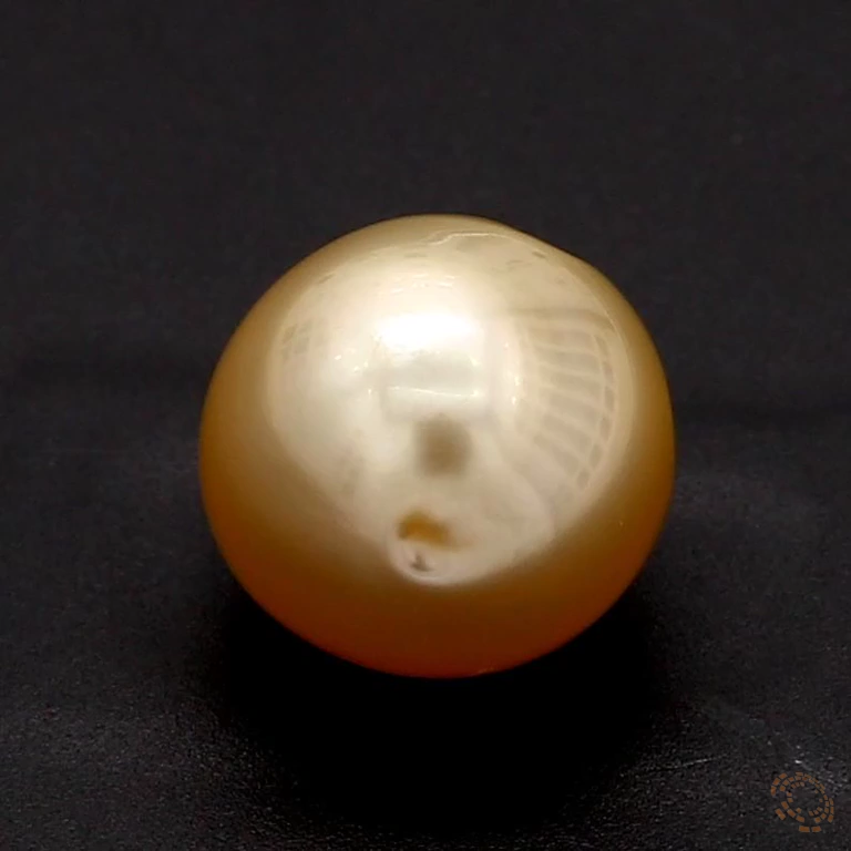 362-carat-white-natural-pearl-preview