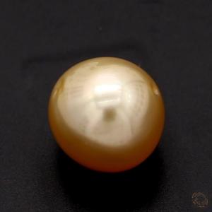 362-carat-white-natural-pearl-4