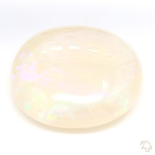 OP-25800647-9-81 Preview